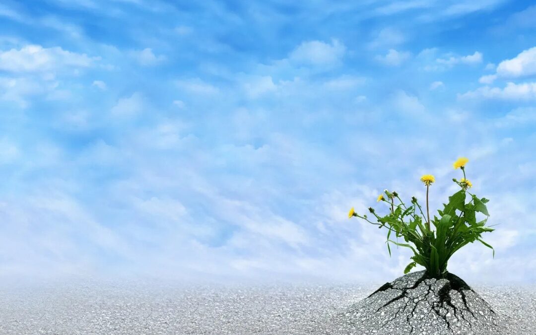 Resilience is needed now more than ever