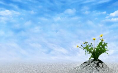 Resilience is needed now more than ever